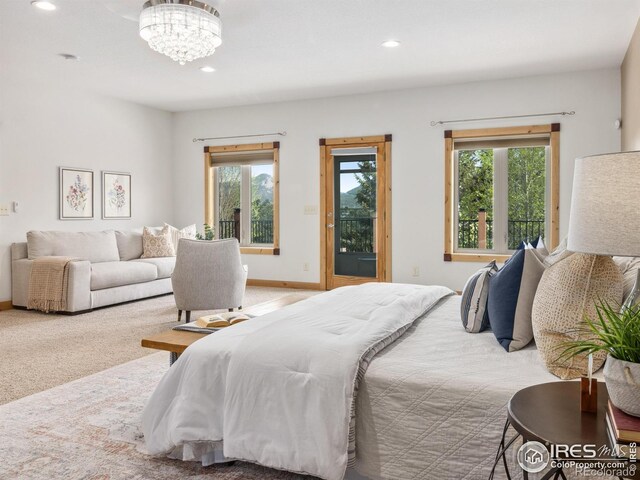 557 Grand Estates Dr, Estes Park, CO 80517 - photo 8