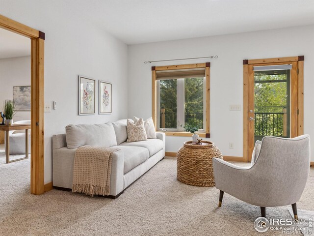 557 Grand Estates Dr, Estes Park, CO 80517 - photo 9
