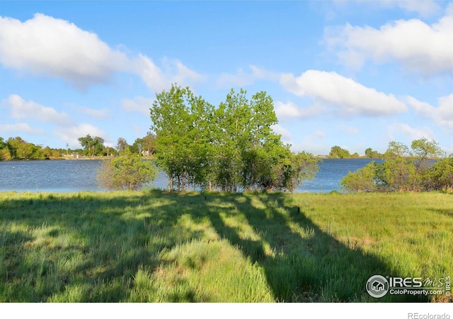 8402 Dome Ct, Fort Collins, CO 80525 - photo 39