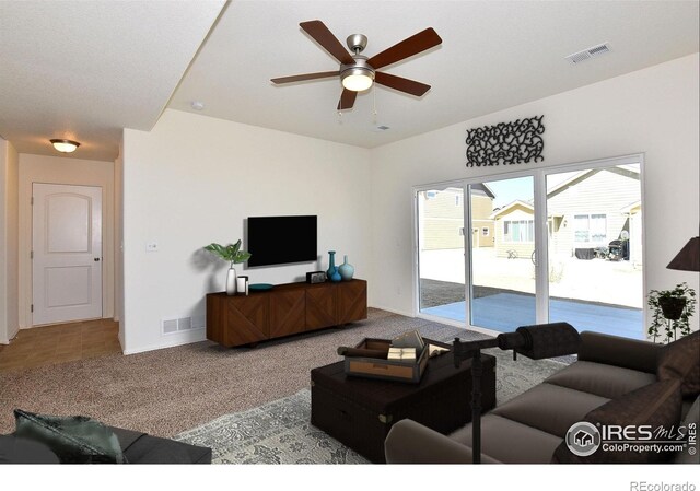 8706 8th St, Greeley, CO 80634 - photo 6