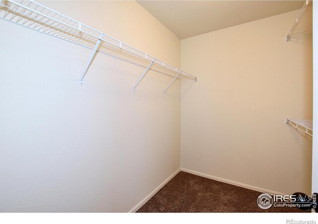 8706 8th St, Greeley, CO 80634 - photo 32