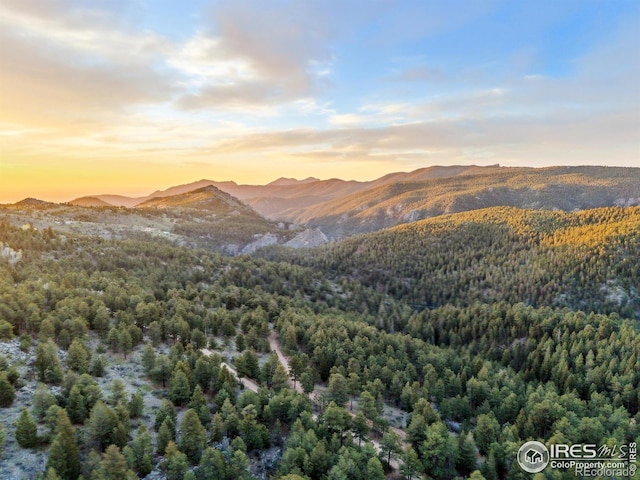 609 Old Townsite Rd, Boulder, CO 80302
