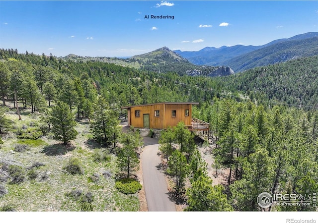 609 Old Townsite Rd, Boulder, CO 80302 - photo 35