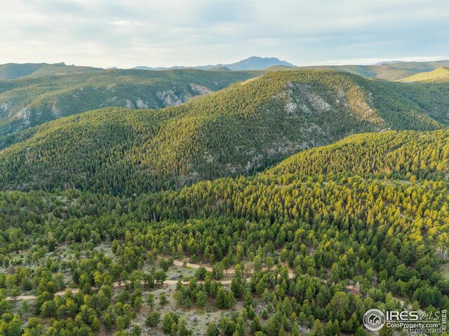 609 Old Townsite Rd, Boulder, CO 80302 - photo 8
