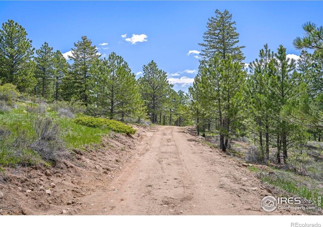609 Old Townsite Rd, Boulder, CO 80302 - photo 15