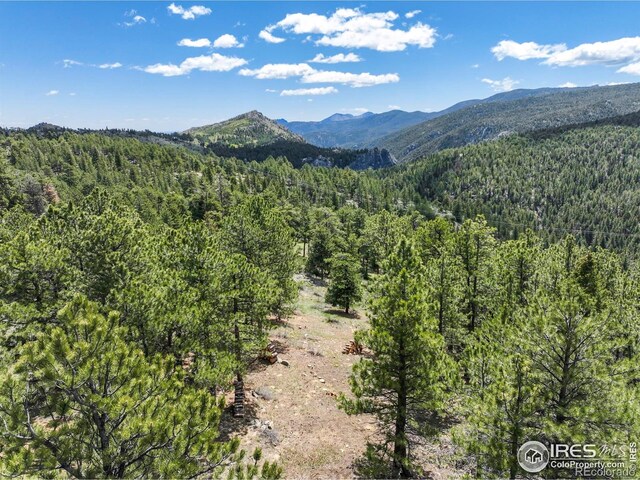 609 Old Townsite Rd, Boulder, CO 80302 - photo 21