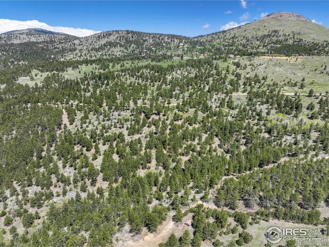 609 Old Townsite Rd, Boulder, CO 80302 - photo 25