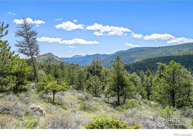 609 Old Townsite Rd, Boulder, CO 80302 - photo 32