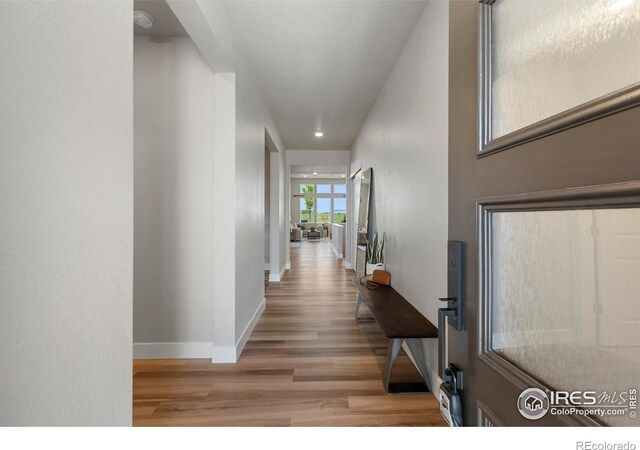 6752 Castello St, Timnath, CO 80547 - photo 4