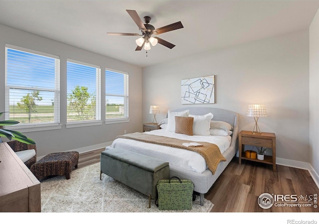 6752 Castello St, Timnath, CO 80547 - photo 16