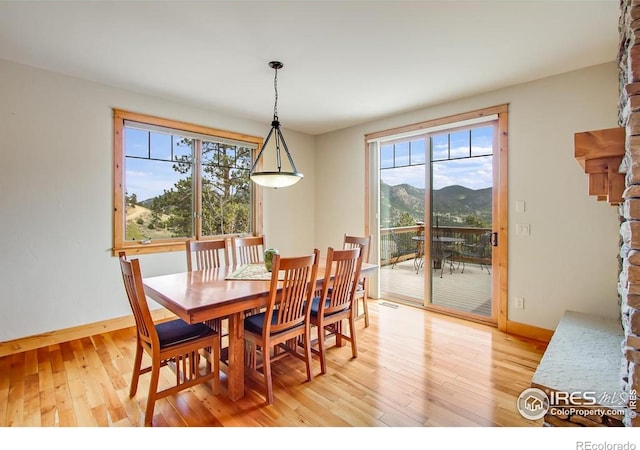 303 Curry Dr, Estes Park, CO 80517 - dining room featuring light wood-style floors, baseboards, and a mountain view