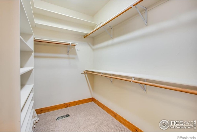 303 Curry Dr, Estes Park, CO 80517 - spacious closet featuring carpet