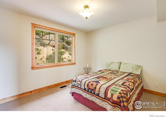303 Curry Dr, Estes Park, CO 80517 - carpeted bedroom with baseboards
