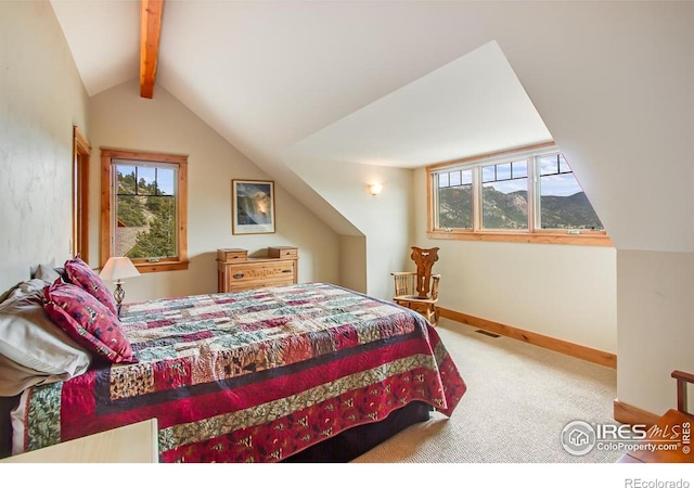 303 Curry Dr, Estes Park, CO 80517 - carpeted bedroom with multiple windows and baseboards
