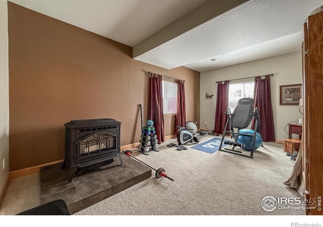 224 Alabaster Way, Johnstown, CO 80534 - photo 19