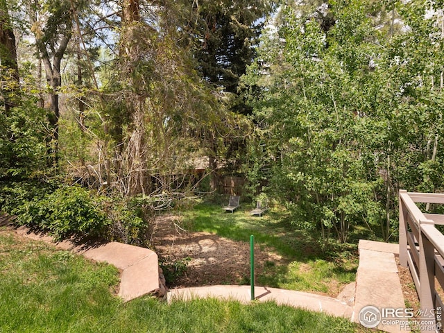 1035 Rosehill Dr, Boulder, CO 80302 - view of yard