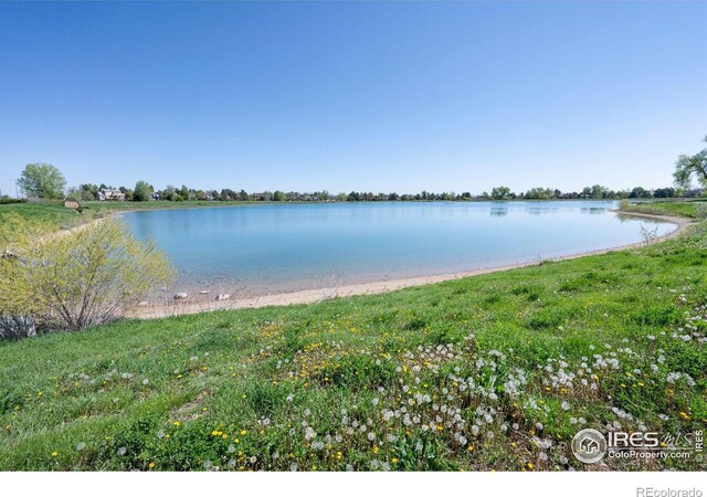 902 Grove Dr, Louisville, CO 80027 - photo 38