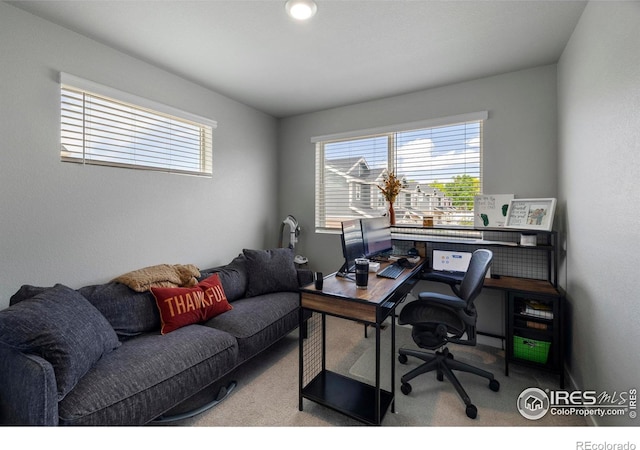 253 Molinar St, Johnstown, CO 80534 - view of carpeted office