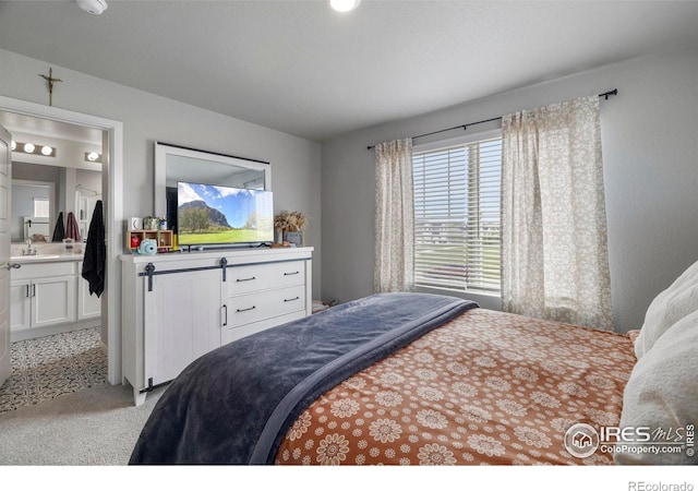 253 Molinar St, Johnstown, CO 80534 - bedroom with light colored carpet, ensuite bathroom, and a sink