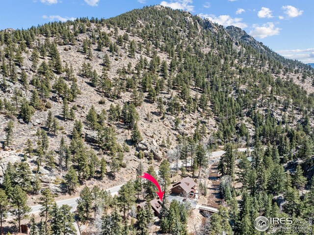 1340 Fall River Dr Unit E, Estes Park, CO 80517
