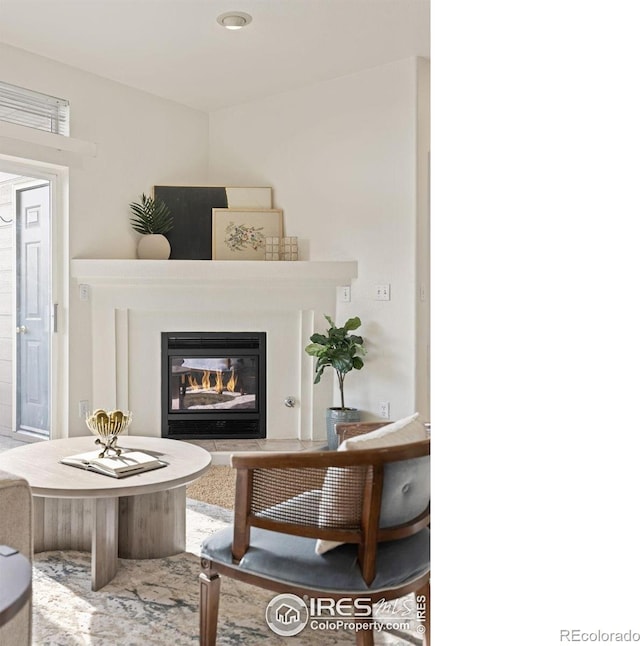 4545 Wheaton Dr Unit A-290, Fort Collins, CO 80525 - sitting room featuring a glass covered fireplace