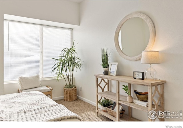 4545 Wheaton Dr Unit A-290, Fort Collins, CO 80525 - bedroom featuring carpet floors and baseboards