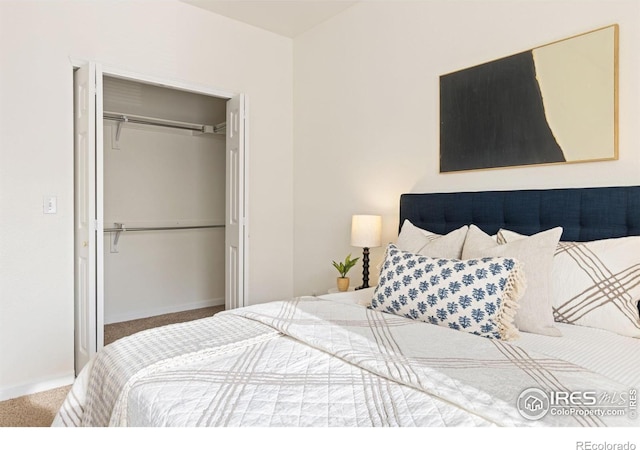 4545 Wheaton Dr Unit A-290, Fort Collins, CO 80525 - bedroom featuring carpet flooring, a closet, and baseboards