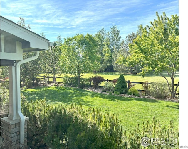 6523 Spanish Bay Dr, Windsor, CO 80550 - view of green lawn