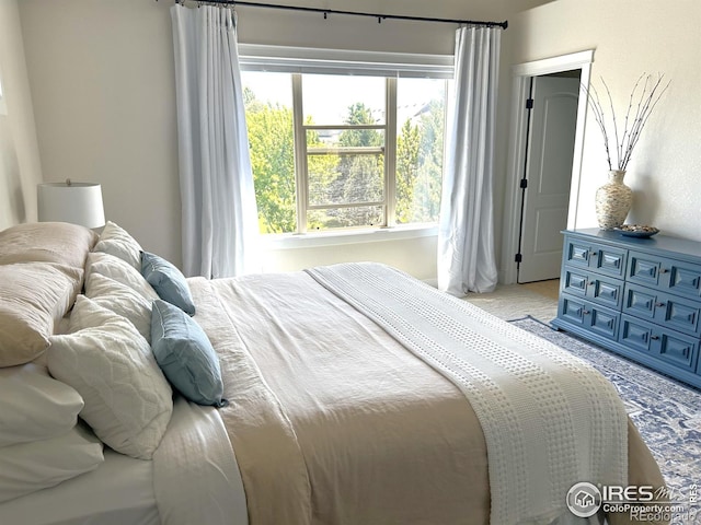 6523 Spanish Bay Dr, Windsor, CO 80550 - view of bedroom