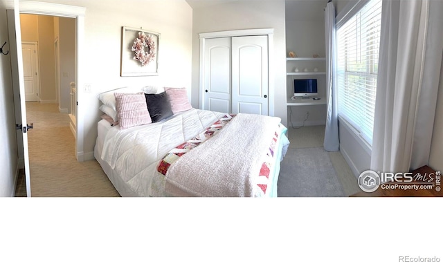 6523 Spanish Bay Dr, Windsor, CO 80550 - bedroom featuring a closet, carpet floors, and baseboards