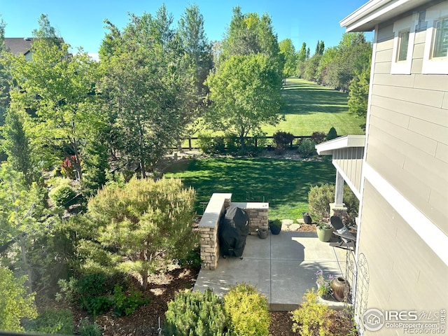 6523 Spanish Bay Dr, Windsor, CO 80550 - view of grassy yard featuring a patio