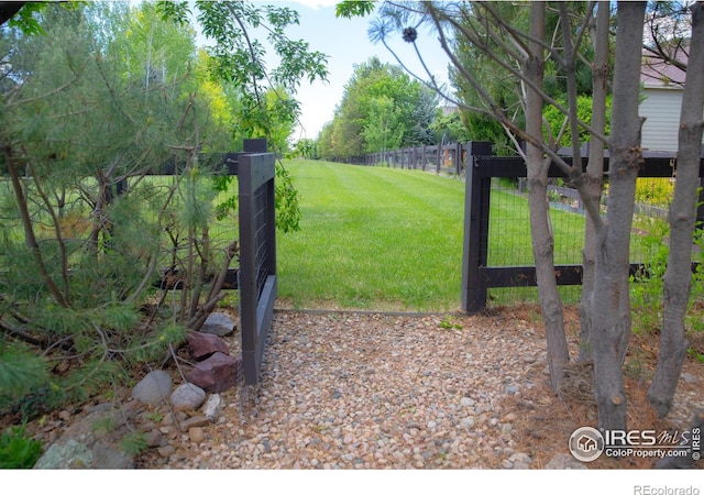 6523 Spanish Bay Dr, Windsor, CO 80550 - view of yard