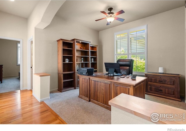 6535 Half Moon Bay Dr, Windsor, CO 80550 - office featuring ceiling fan, light wood-type flooring, light colored carpet, baseboards, and arched walkways