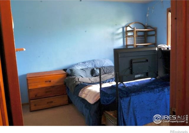 50 19th Ave Unit 9, Longmont, CO 80501 - bedroom with carpet
