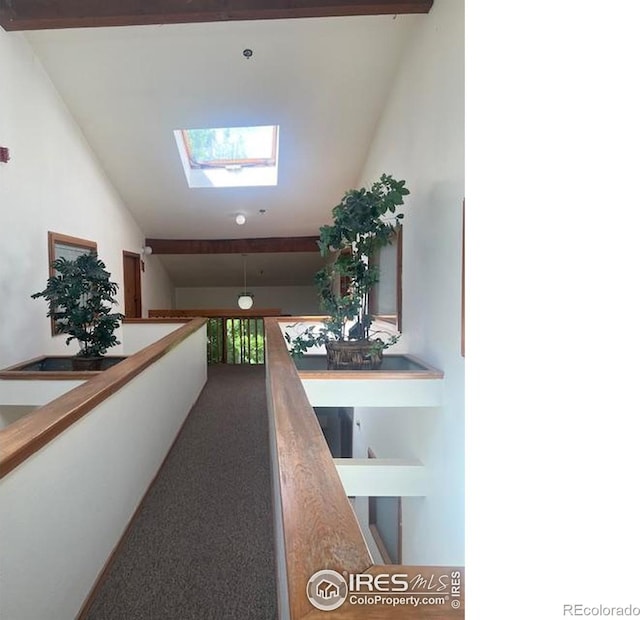 50 19th Ave Unit 9, Longmont, CO 80501 - hallway featuring vaulted ceiling and a skylight