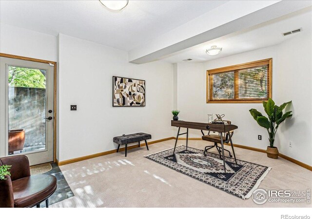 6212 Eagle Ridge Ct, Fort Collins, CO 80525 - photo 29