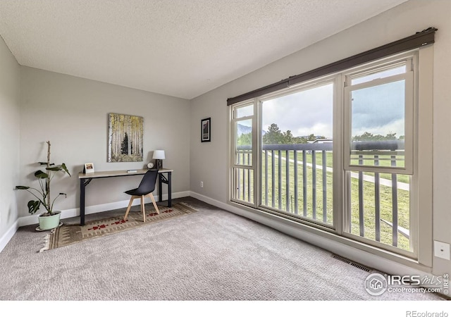 855 W Moorhead Cir Unit C, Boulder, CO 80305 - carpeted office space with baseboards and a textured ceiling
