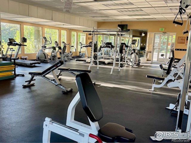 855 W Moorhead Cir Unit C, Boulder, CO 80305 - exercise room featuring plenty of natural light, a paneled ceiling, and french doors