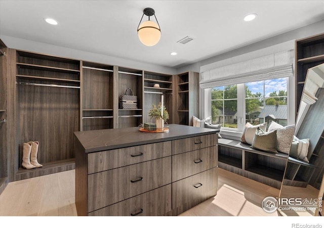 3256 S Corona St, Englewood, CO 80113 - spacious closet with light wood-style floors