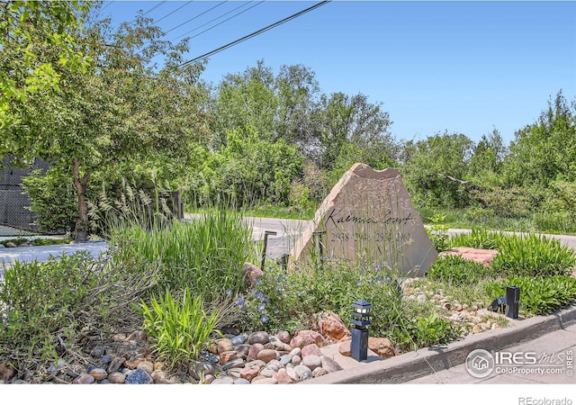 2938 Kalmia Ave Unit 26, Boulder, CO 80301 - view of yard