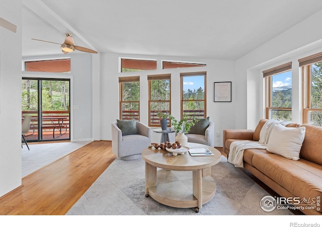 880 Hummer Dr, Nederland, CO 80466 - living room featuring wood finished floors, plenty of natural light, and vaulted ceiling