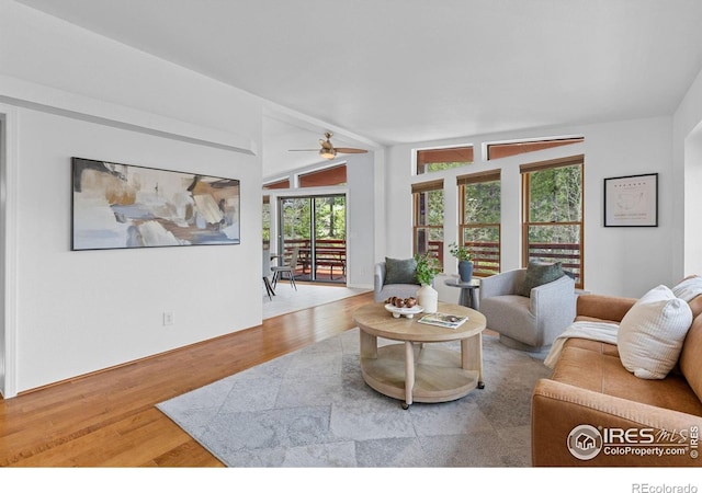 880 Hummer Dr, Nederland, CO 80466 - living room with wood finished floors and a ceiling fan