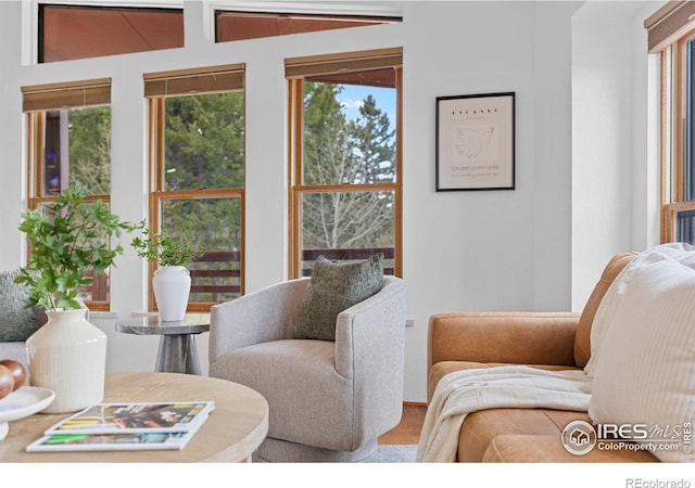 880 Hummer Dr, Nederland, CO 80466 - living room featuring healthy amount of natural light and wood finished floors