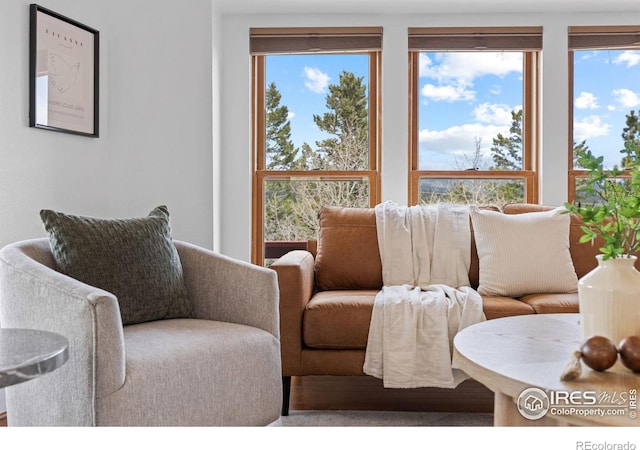 880 Hummer Dr, Nederland, CO 80466 - view of living area
