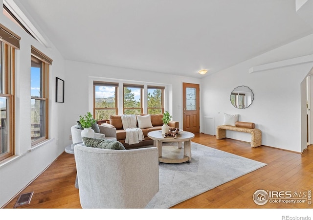 880 Hummer Dr, Nederland, CO 80466 - living room with wood finished floors and vaulted ceiling