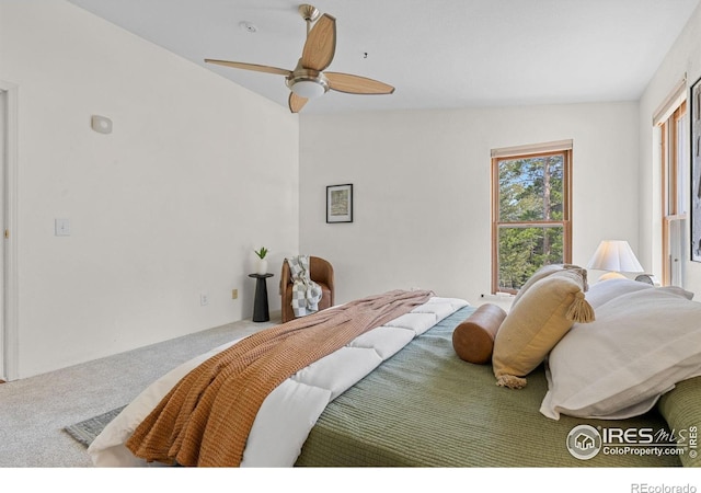 880 Hummer Dr, Nederland, CO 80466 - carpeted bedroom with ceiling fan