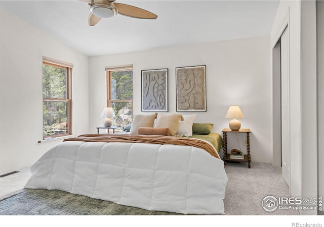 880 Hummer Dr, Nederland, CO 80466 - carpeted bedroom featuring a ceiling fan