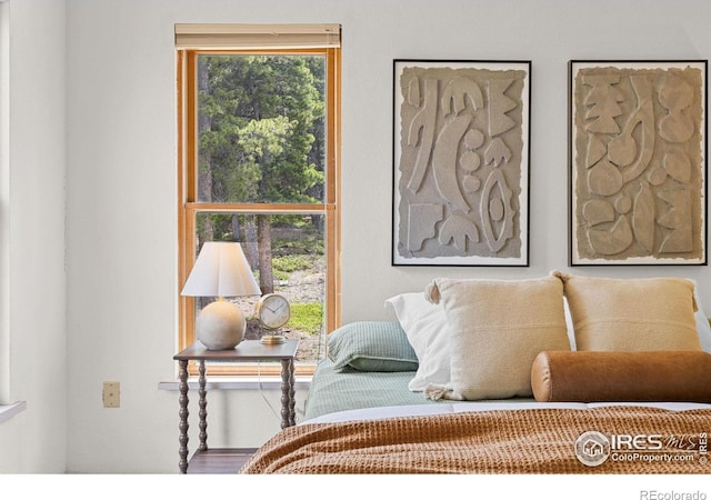 880 Hummer Dr, Nederland, CO 80466 - sitting room featuring wood finished floors
