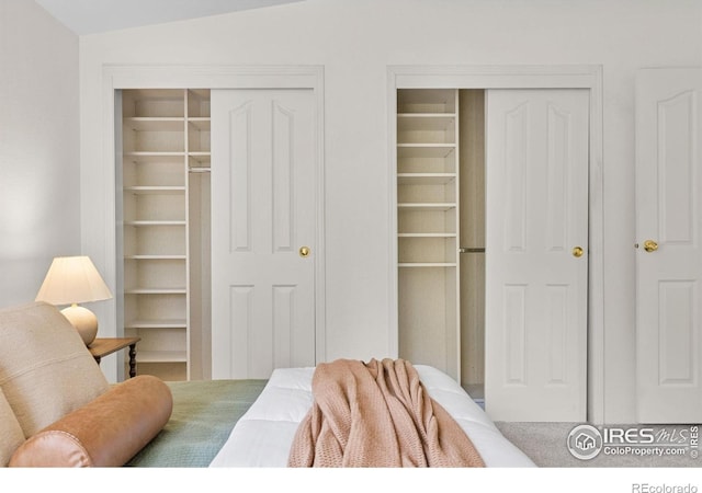 880 Hummer Dr, Nederland, CO 80466 - bedroom featuring multiple closets