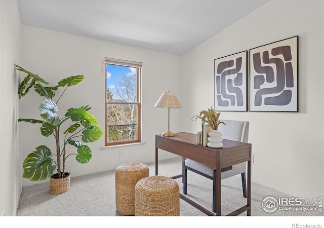 880 Hummer Dr, Nederland, CO 80466 - home office featuring carpet